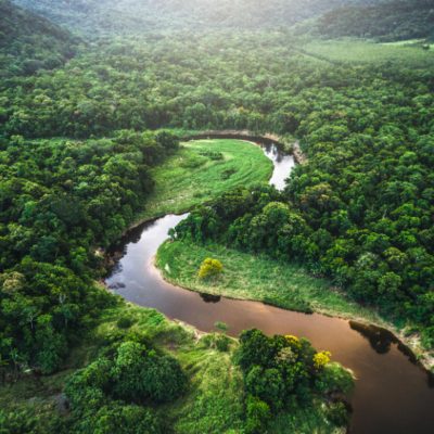 amazonia_brasilea